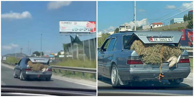 Delja në Durrës ‘lëviz’ me Benz, e lidhin në bagazhin plot me bar