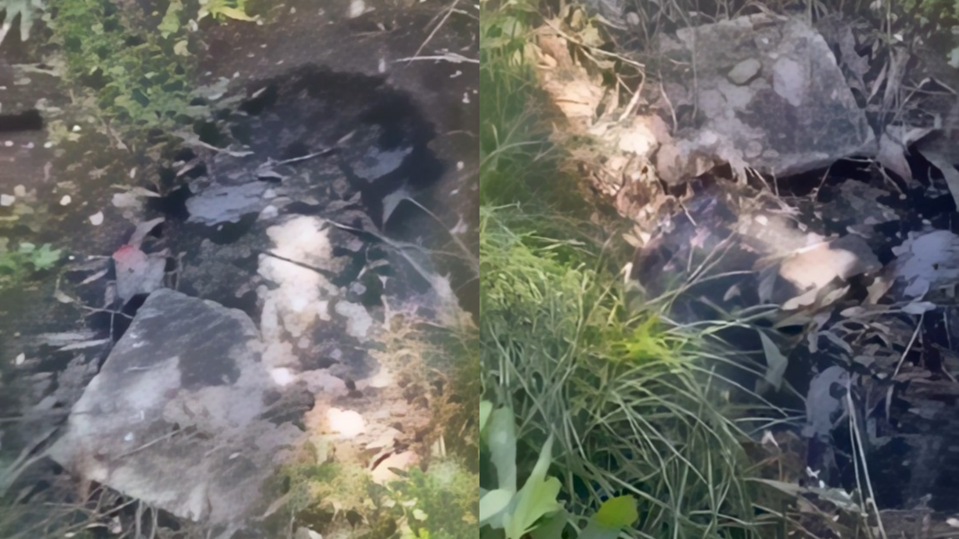 “Restoranti në Qeparo po derdh ujërat e zeza në oborrin e shtëpisë time”