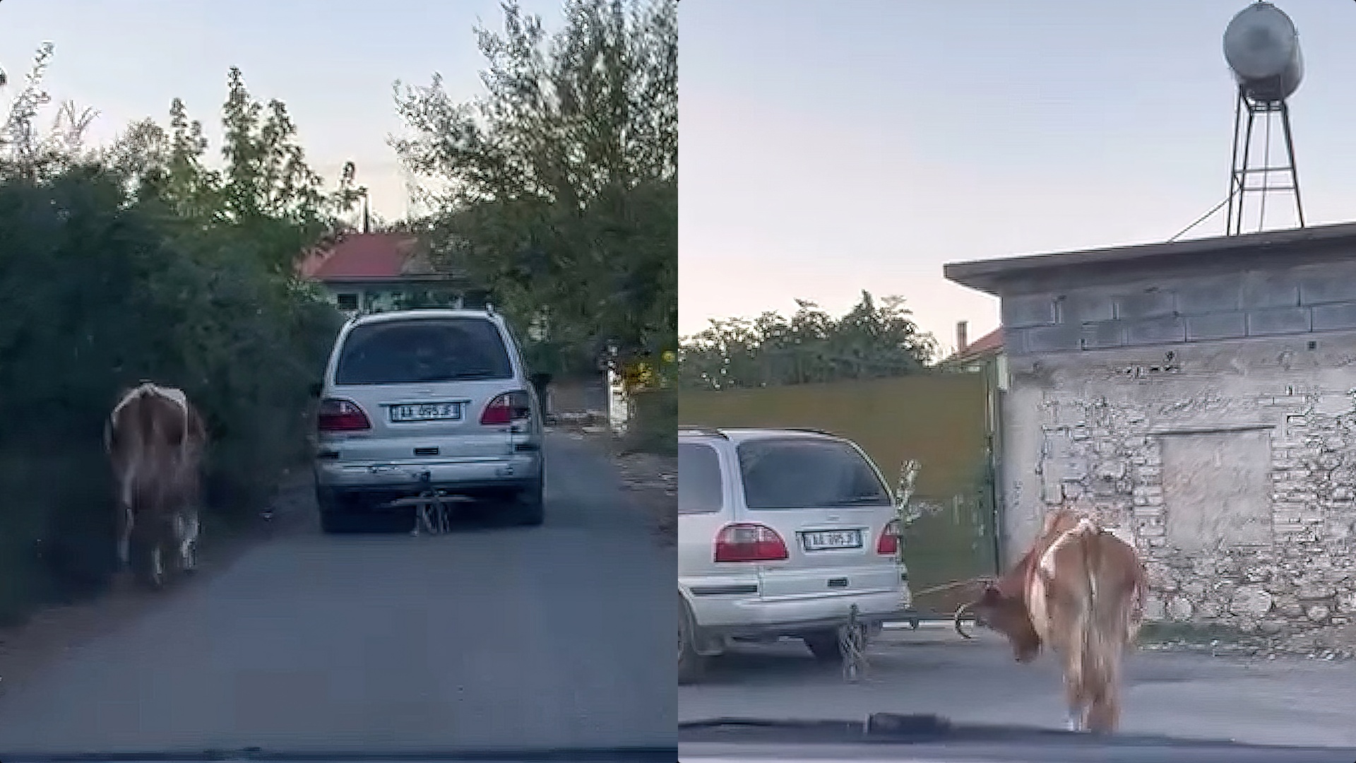 Matjani lidh lopën pas furgonit dhe e tërheq nëpër rrugë