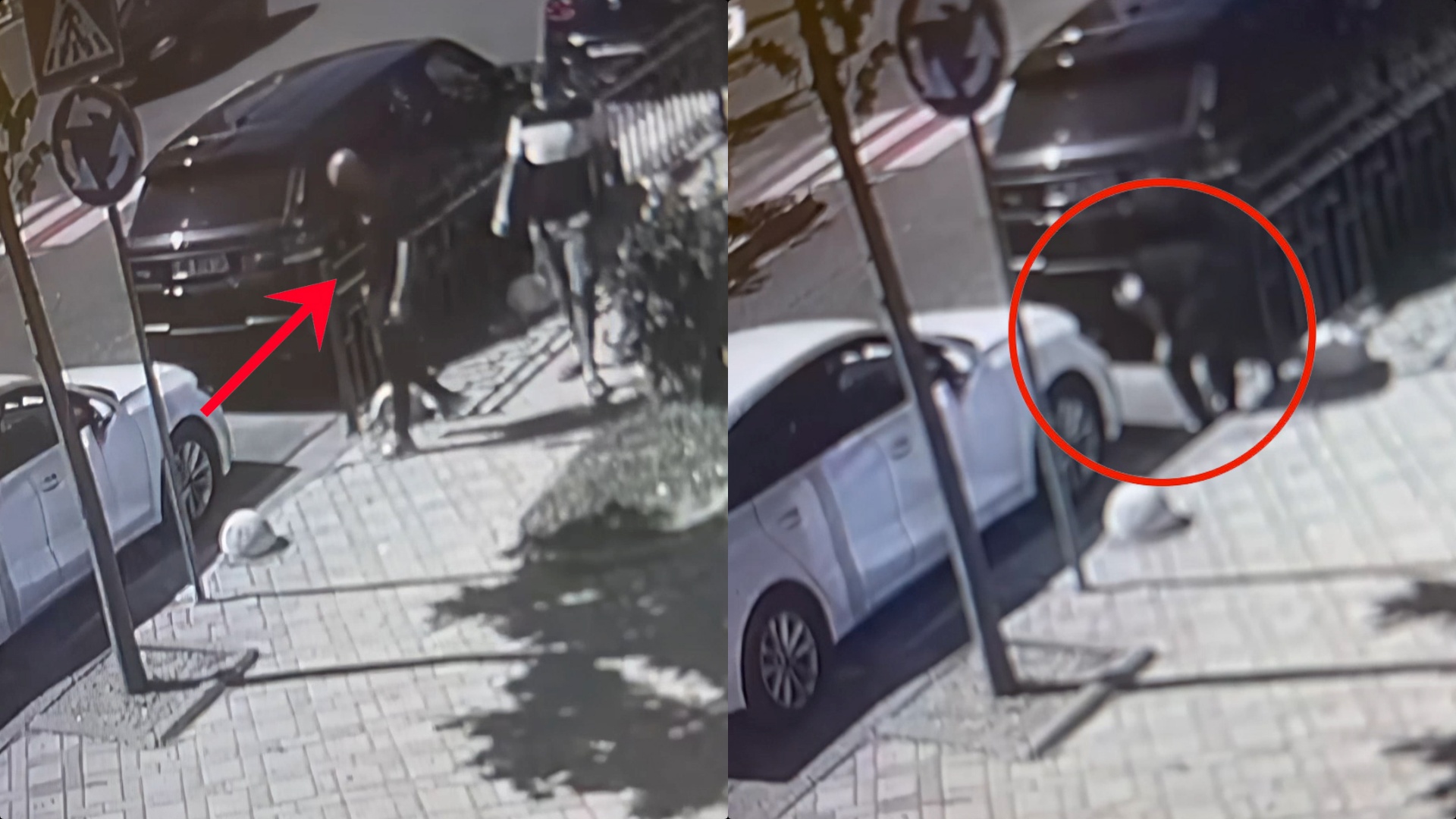“Ky djalë gjeti portofolin tim, i lutem të më kthejë dokumentat”