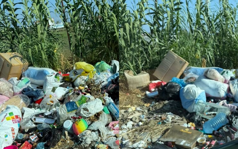 Fshati Drenovicë mbuluar nga plehrat, bashkia Berat asnjë masë