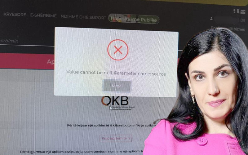 E-Albania prej 24 orësh jashtë funksionit, ekonomisti: Njeh vetëm afganët