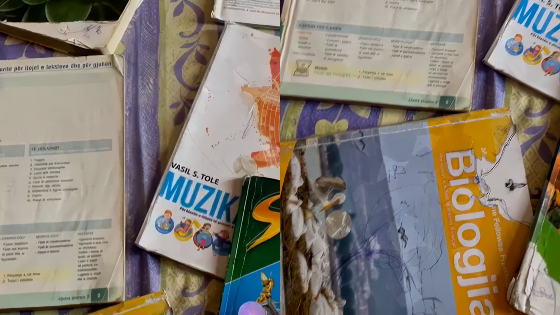 “Librat falas janë copë-copë, do t’i blej të rinj me lekë borxh”