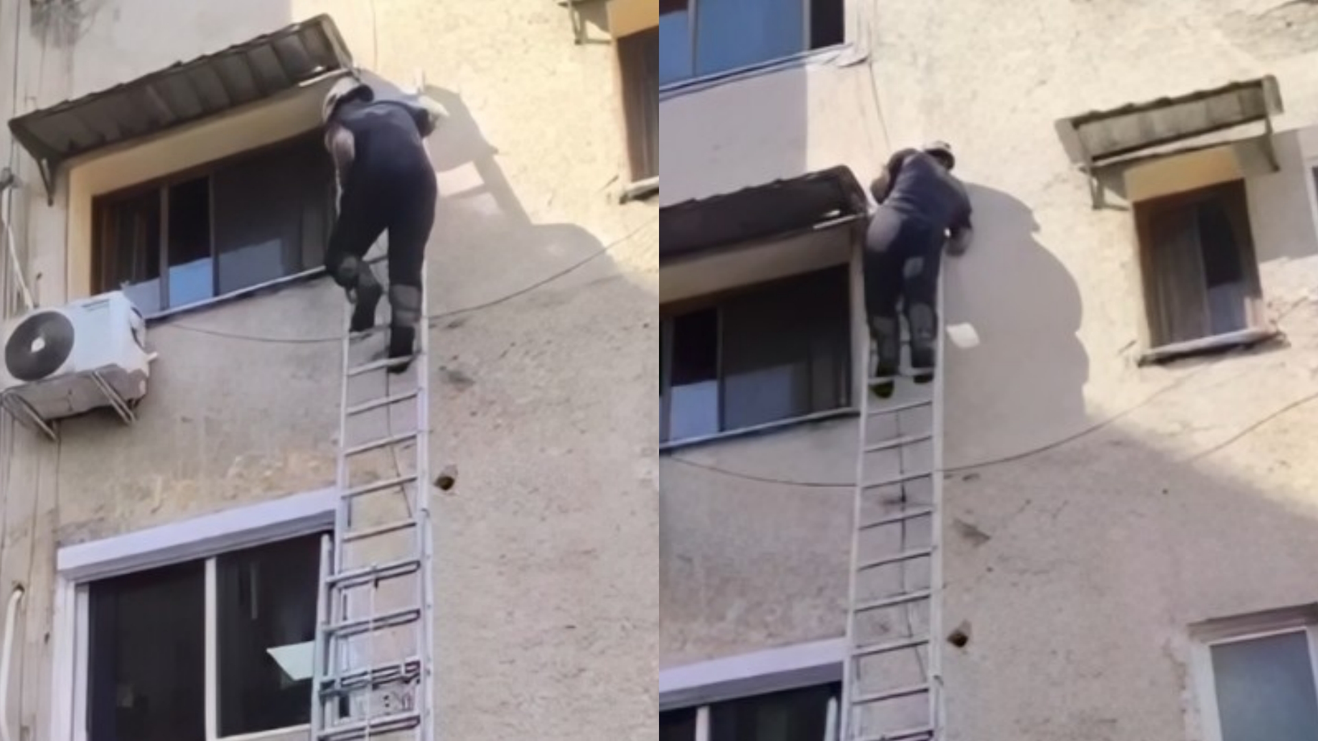 Zjarrfikësi heroi i ditës, shpëton macen e ngecur mbi tendë