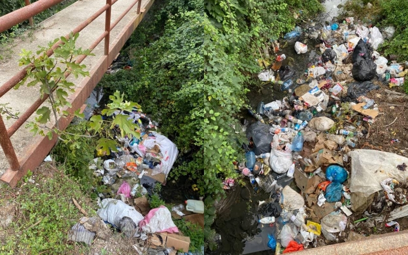 Plehrat pushtojnë fshatin Zall të Krrabës, banorët: Era e keqe është e padurueshme!
