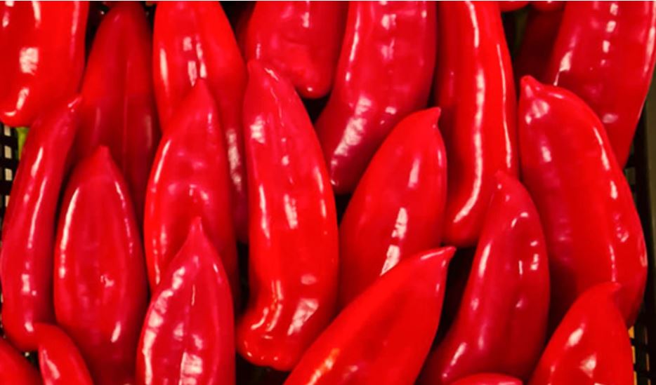 Specat nga Maqedonia tërhiqen nga tregu në Kroaci për shkak të pesticideve të rrezikshme