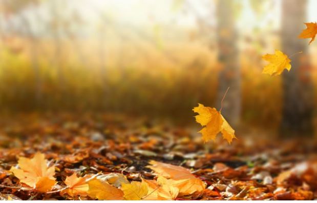 Gjatë kësaj jave do të kemi mot të qëndrueshëm