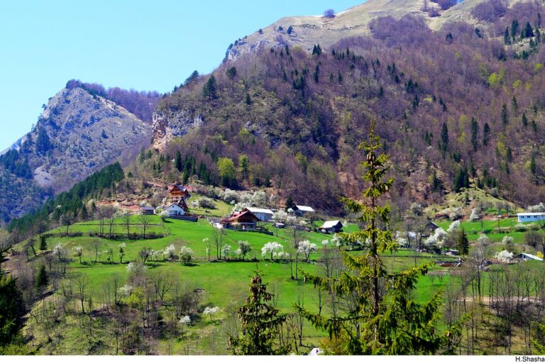 Rritet numri i turistëve të huaj në Kosovë, ja cili mbetet regjioni më i vizituar