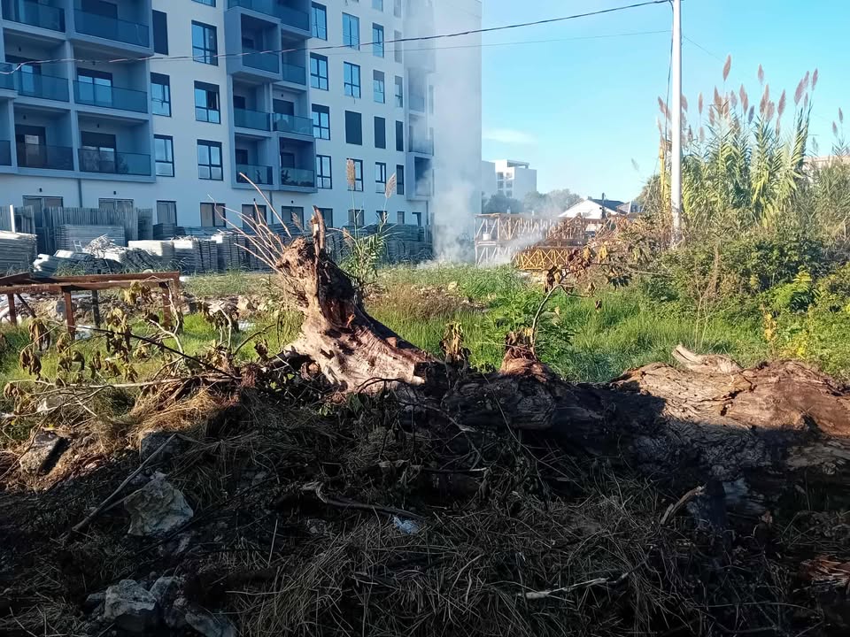  Subjekti i ndërtimit në Golem djeg mbeturina çdo ditë  rrezikon shëndetin tonë dhe banesat 