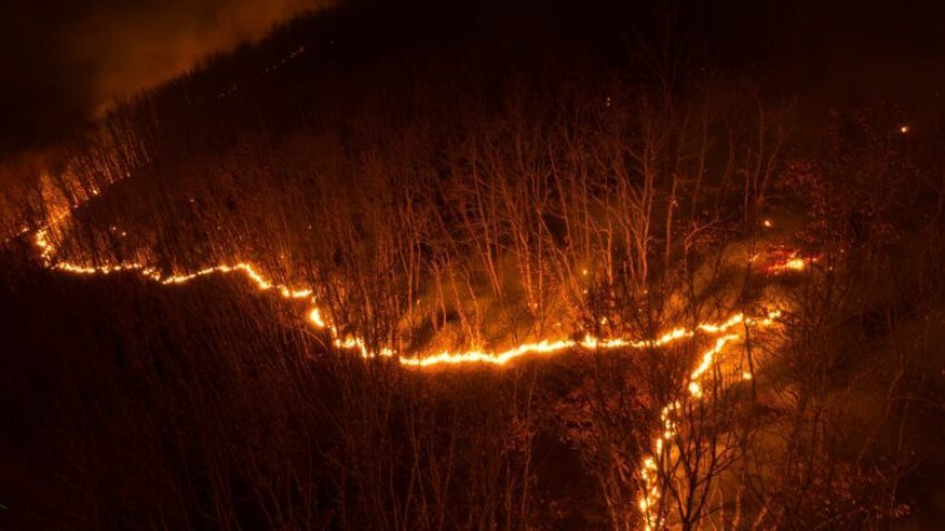 Maqedonia këtë vit ka humbur 275 mijë metër kub dru nga zjarret