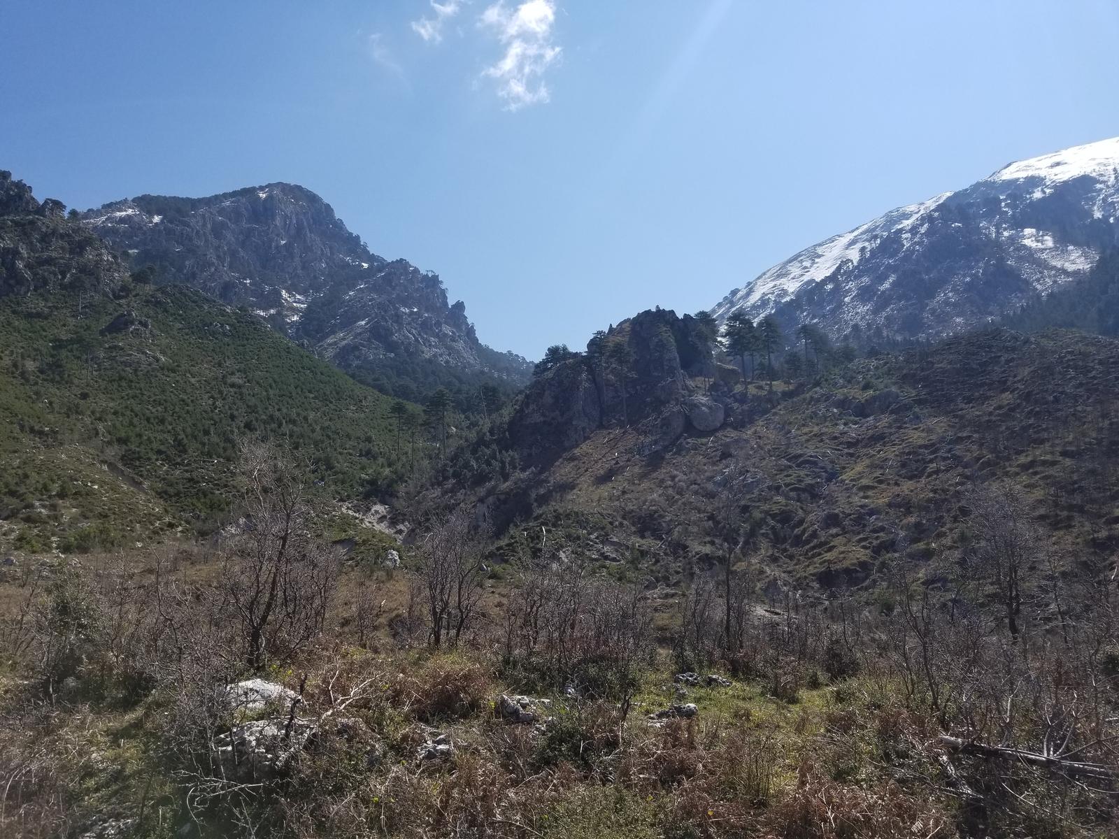 Mbetjet e një kafke njeriu gjenden në Tërbaç të Vlorës