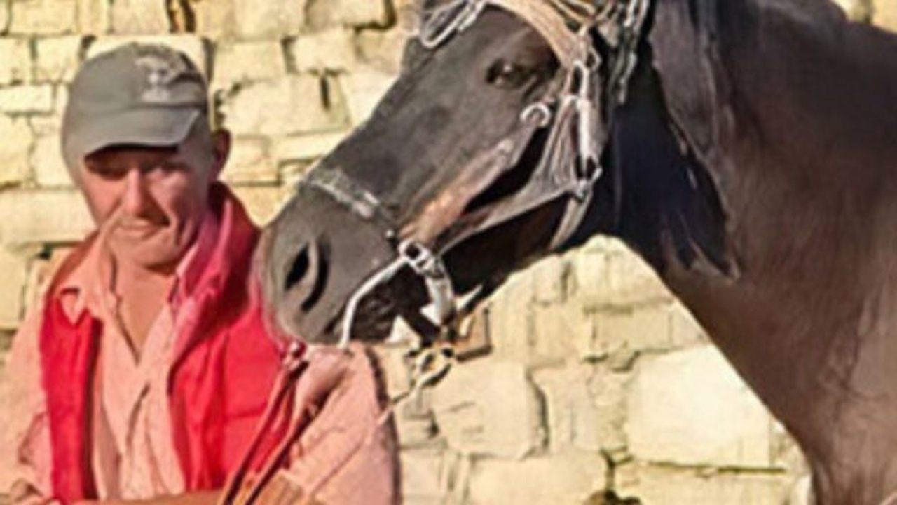 Vrasja në Berat  autori pendohet  Viktima më shau nga familja