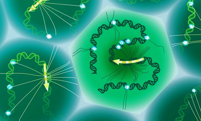 Shkencëtarët më në fund lexojnë kodin e fshehur të ADN-së që formon sëmundjet