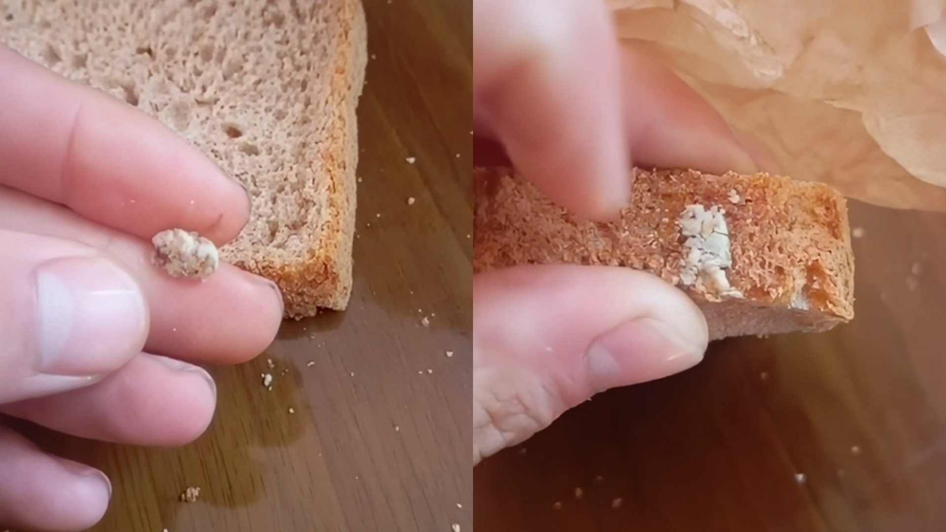 Qytetari gjen çamçakëzin e ngjitur në bukë: Ç’po hamë?