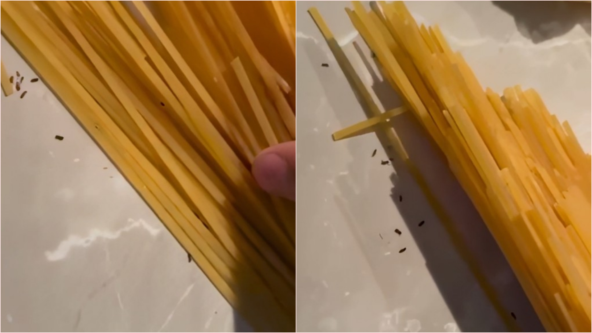 Barilla me surpriza, këtë herë të mbushura me miza