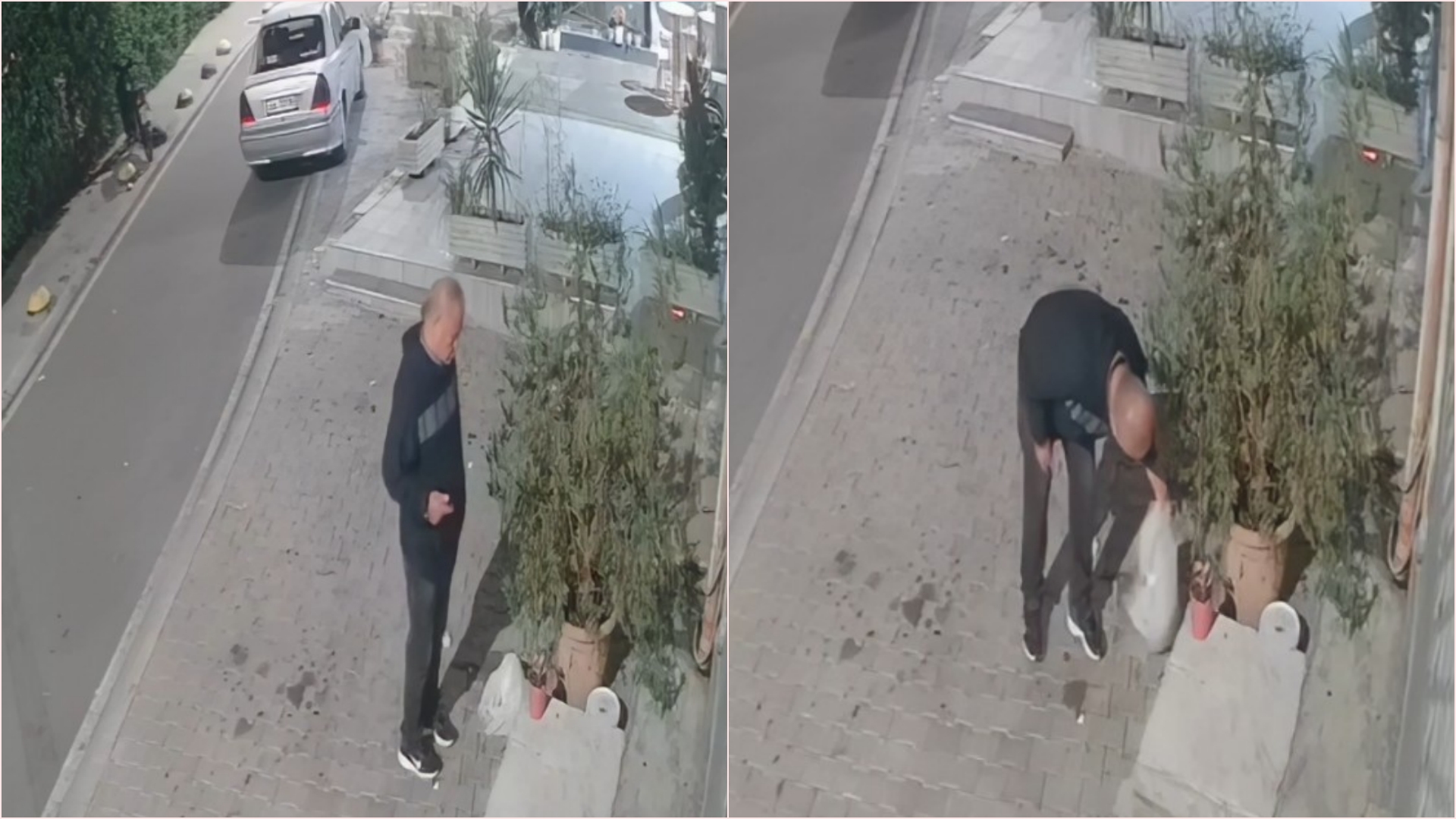 Burri ‘joshet’ nga vazo e lules dhe e vjedh