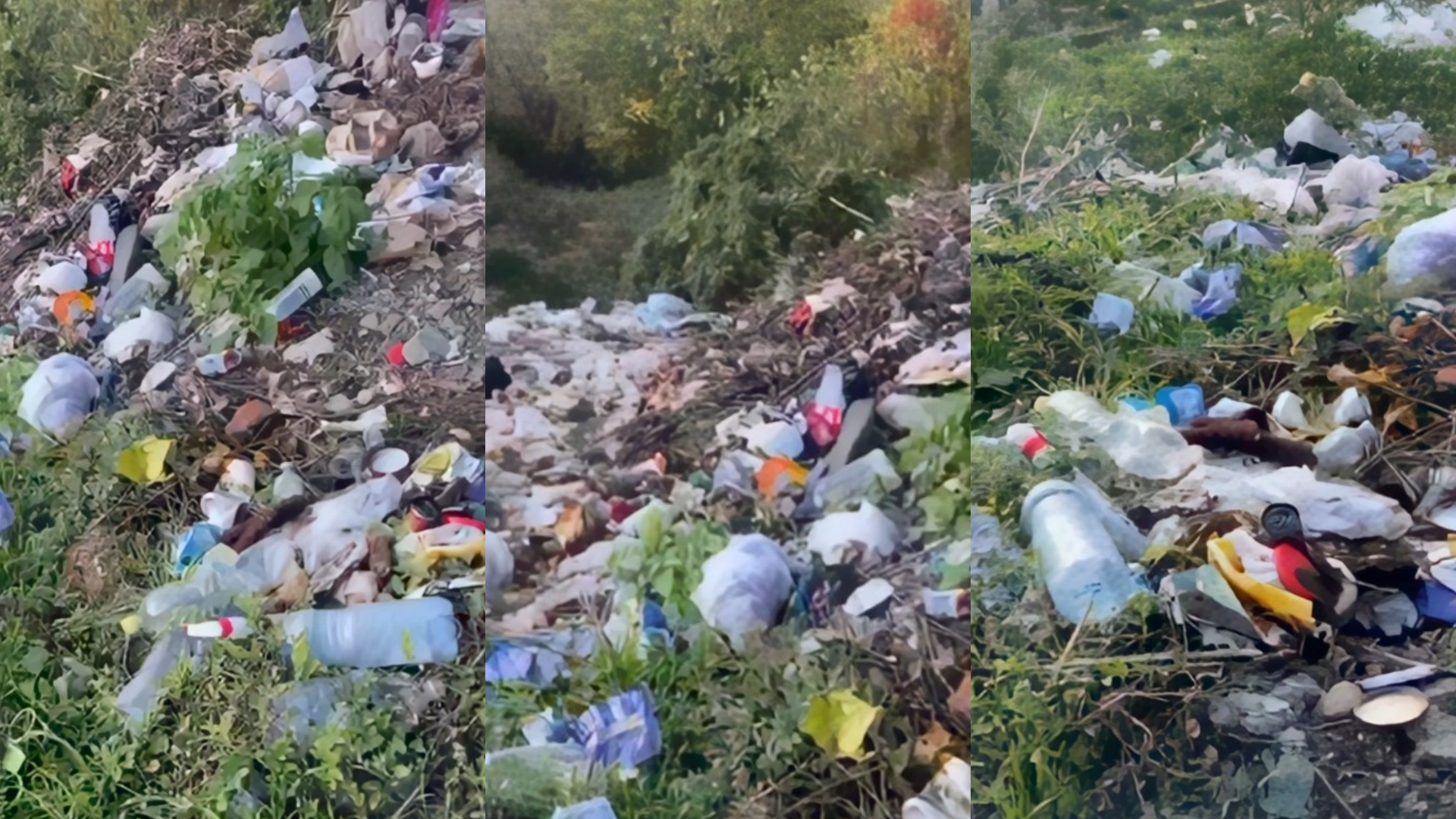 “Na kanë kthyer derën e shtëpisë në kosh plehrash”