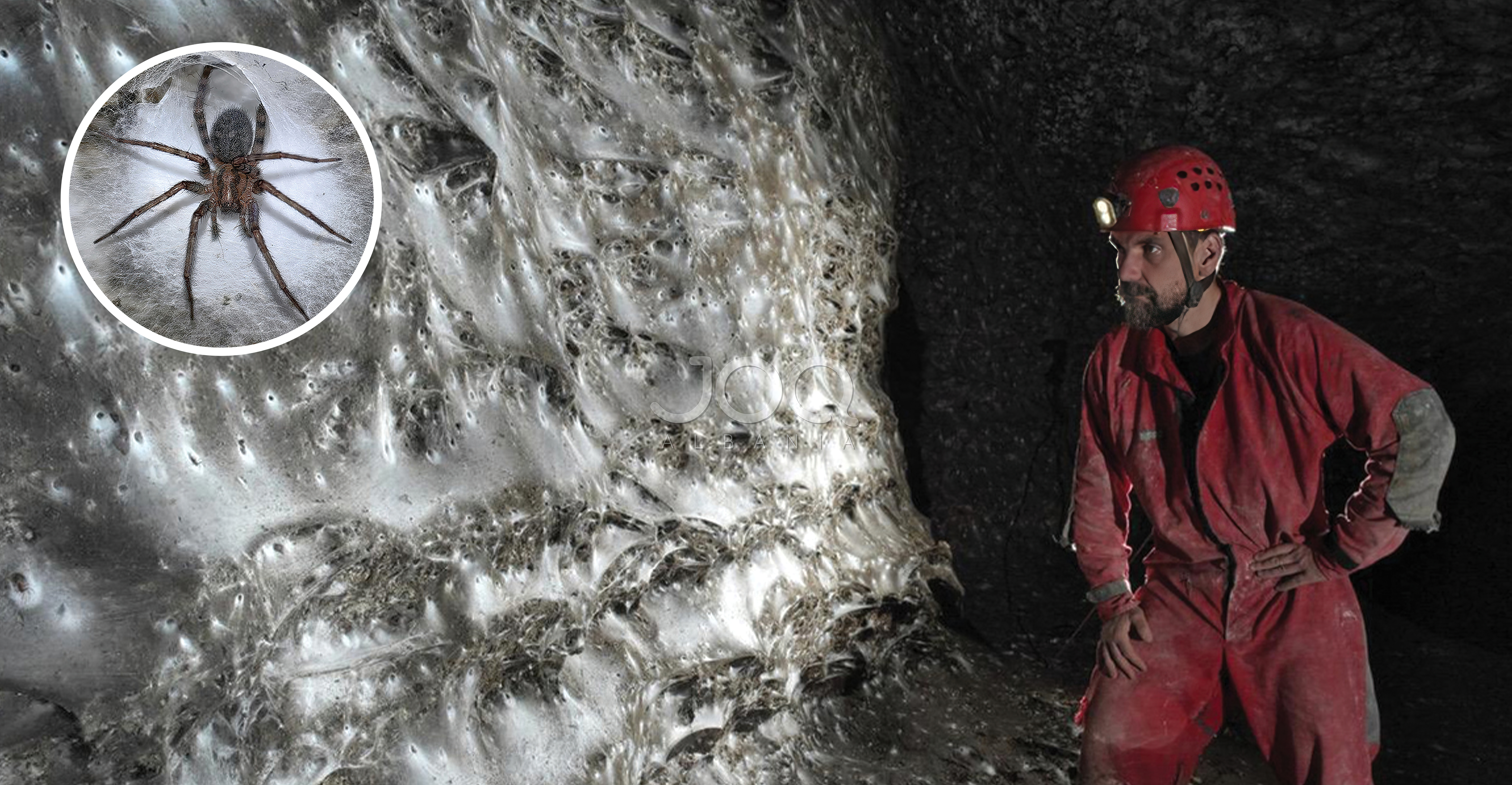 Zbulim shkencor historik: Koloni gjigande merimangash në kufirin Shqipëri–Greqi