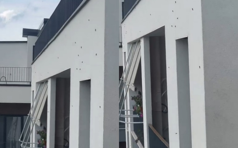 Relux Residence në Shkozë e mbuluar nga grerëzat, banorët: Administratori nuk po vepron!