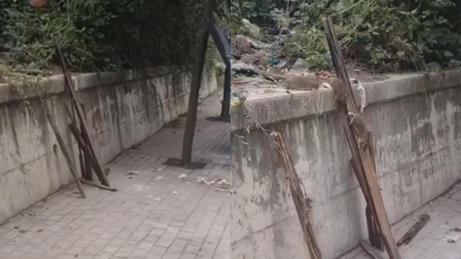 Pushtohet nga minjtë rruga Sotir Caci në Dajt