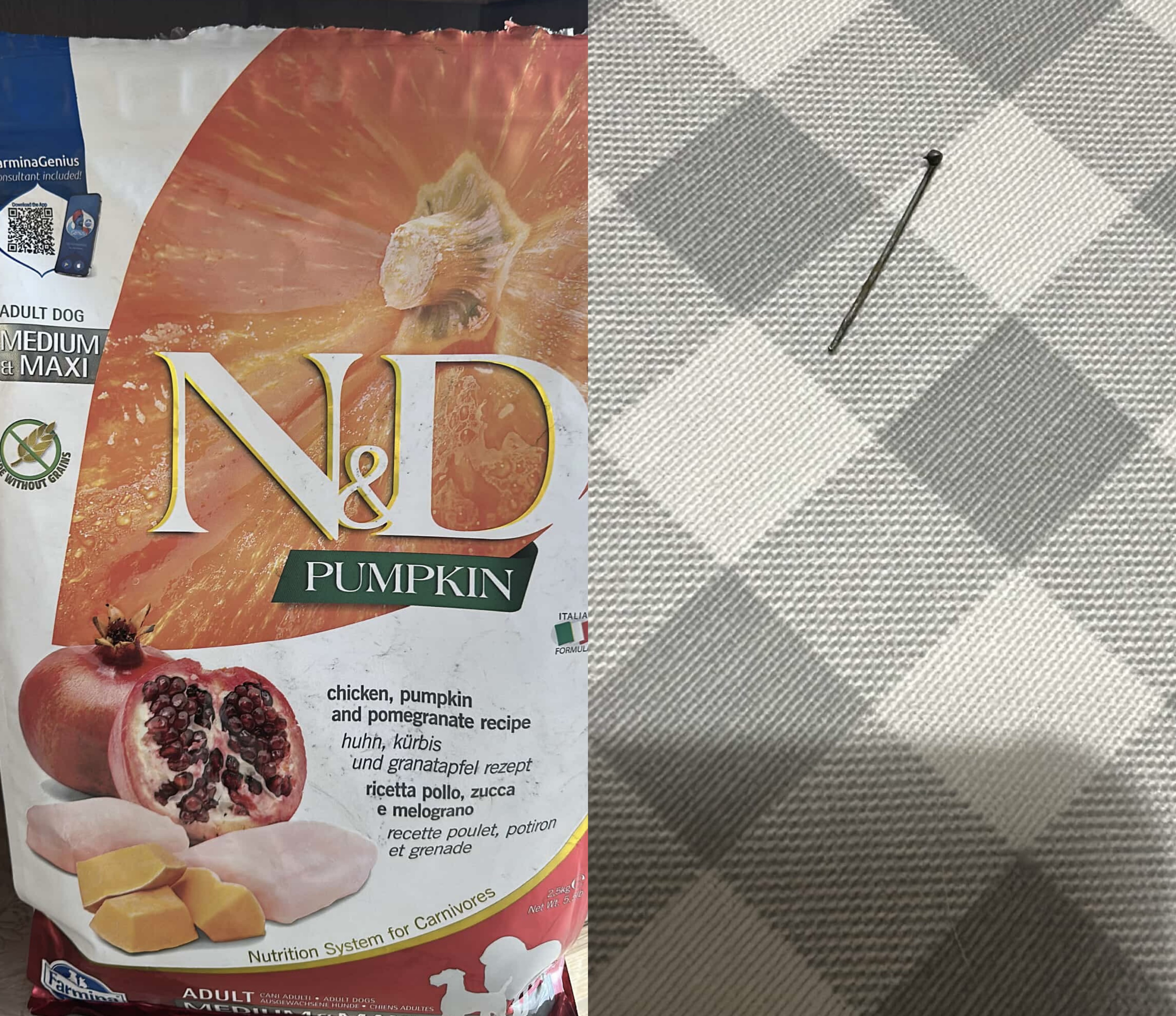 Brenda ushqimit të qenit gjeti 1 gjilpërë, qytetarja: Tani po na rrezikojnë edhe kafshët