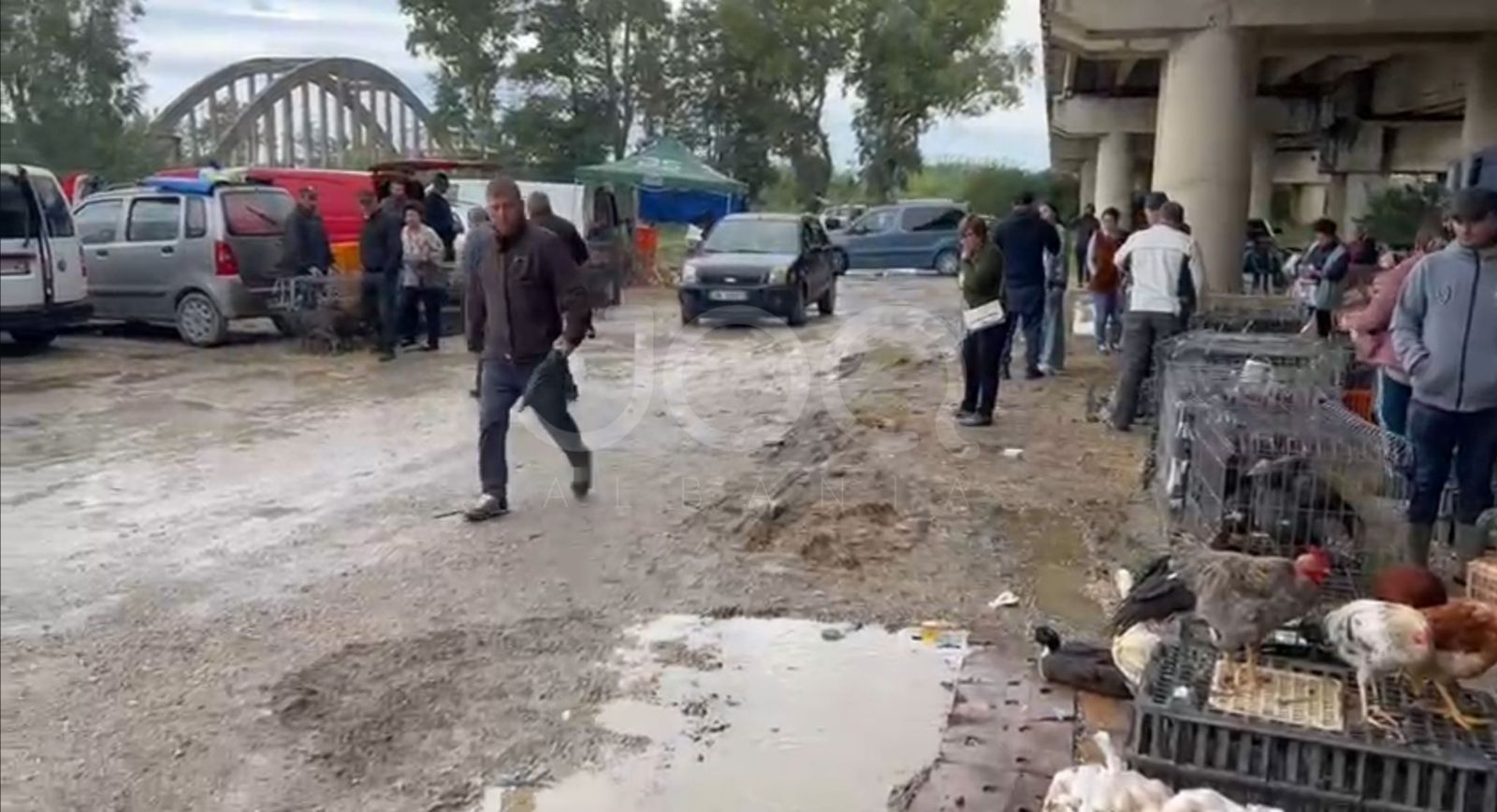 Tregu i Novoselës në gjendje të mjerueshme, tregtarët detyrohen të shesin mes shiut dhe baltës