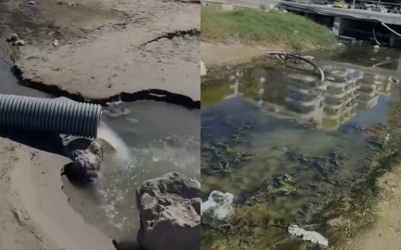 Vlora qelbet nga ujërat e zeza, vlonjati i lindur në Itali: Është turp, bashkia të ndërhyjë