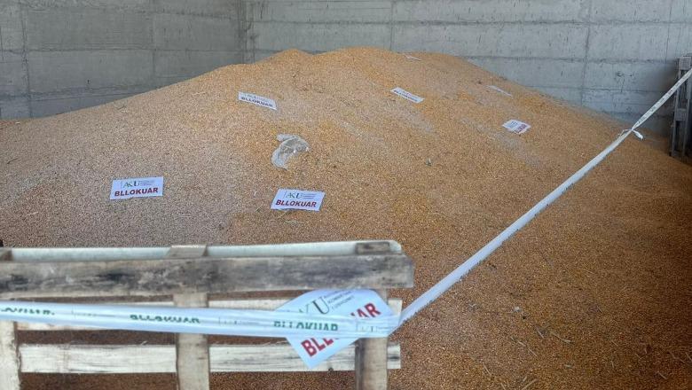 Bllokohen 420 ton misër të ardhur nga Serbia  dyshohet me përmbajtje të lartë aflatoksine