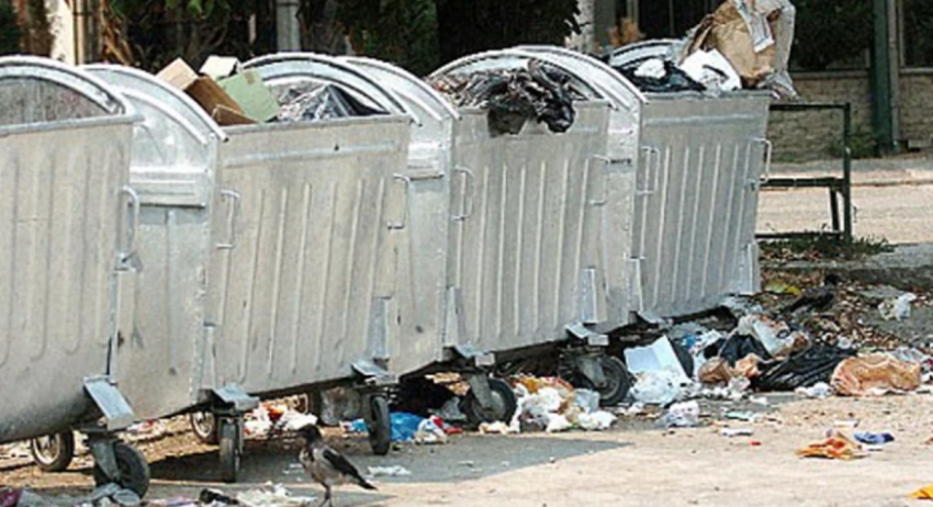 Shkupi assesi të pastrohet nga mbeturinat, Epidemiologët: Rrezik në përhapjen e brejtësve