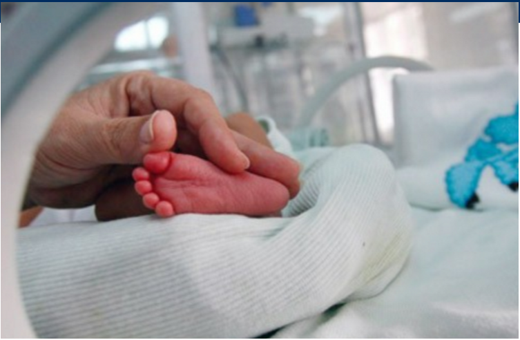 Për nëntë muaj linden mbi 20 mijë fëmijë