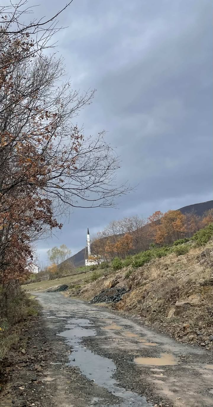 rruga-e-vlahen-ne-has-katastrofe-kryetari-demokrat-ne-gjume