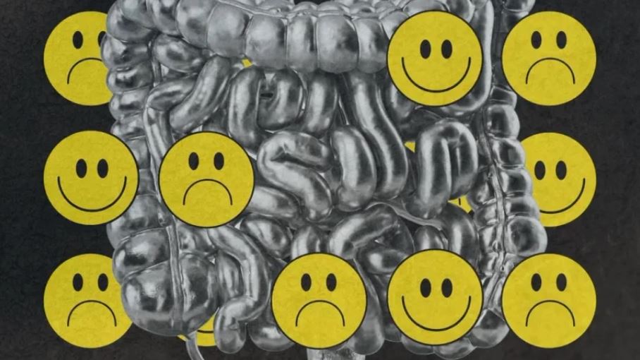 Çfarë ndikimi kanë problemet me zorrët në humorin e njeriut?