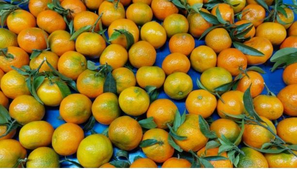 Eksperti tregon raportin nga Italia për mandarinat shqiptare, si t’i dallojmë ato me kimikate?