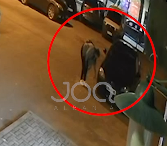 “Një vajzë iu afrua makinës sime dhe spërkati me ujë gomën! Ritual apo magji?!”