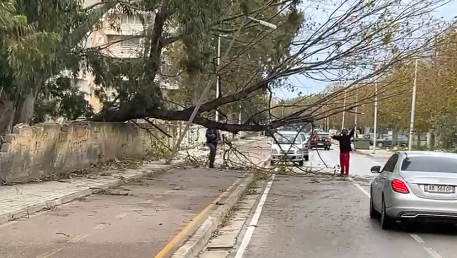 Erëra të fuqishme në Vlorë rrëzojnë pemë dhe bllokojnë rrugët
