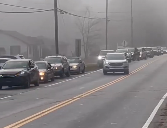 Video virale  Prova që tregon se  njerëzit janë dele 