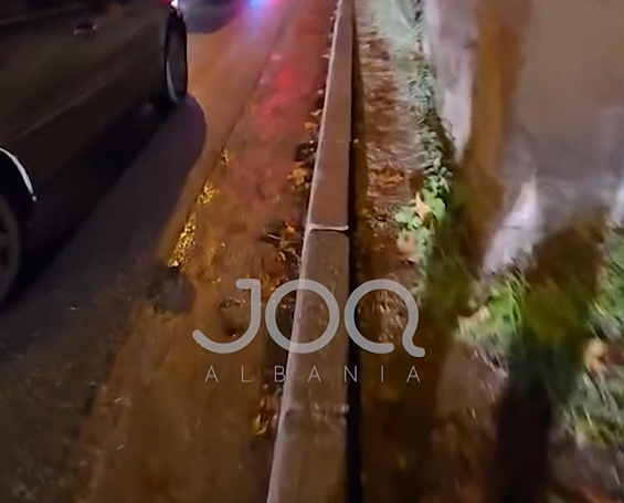  Si mund të kalojë këtu bashkëshortja ime me fëmijën në karrocë  