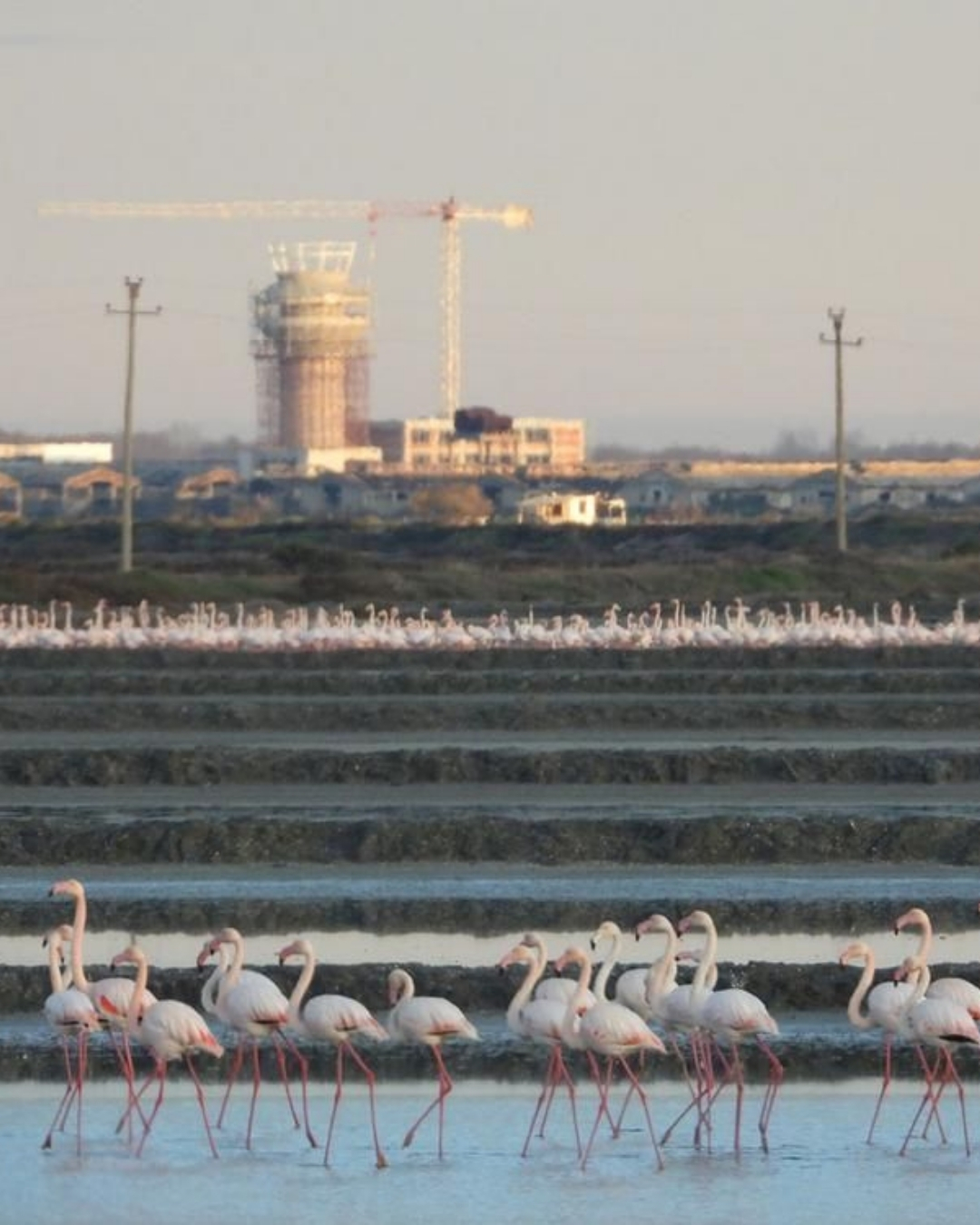 Gjykata Adminsitrative e Apelimit kthehet në favor të Nartës: Hapi i rëndësishëm ndaj Aeroportit të Vlorës