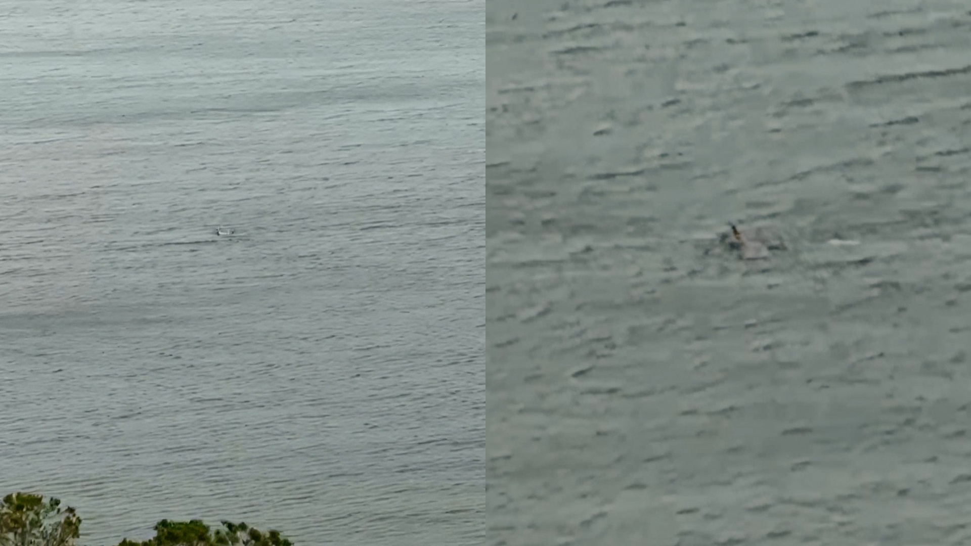 Vlonjati s’pyet për shi! Futet për not në fund të vjeshtës