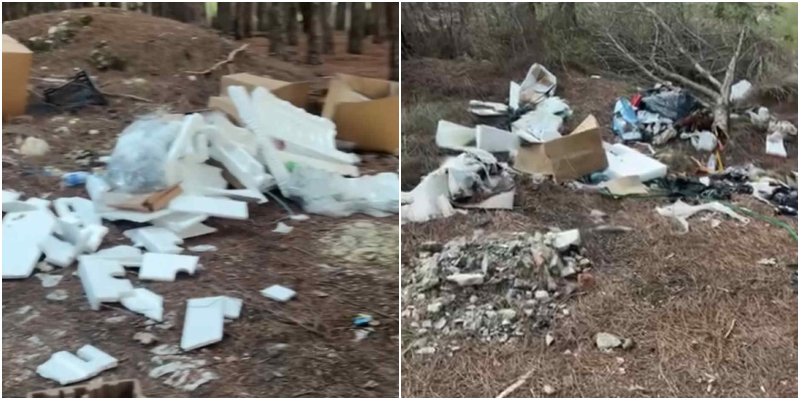 Pylli i Sodës kthehet në vendgrumbullim mbeturinash, Bashkia Vlorë asnjë masë