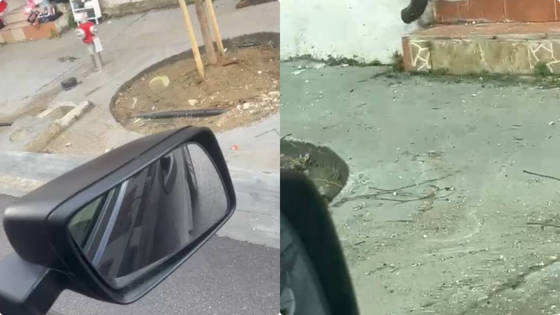 Bashkia “tallet” me vlonjatët, pemët zënë më shumë se gjysmën e trotuarit