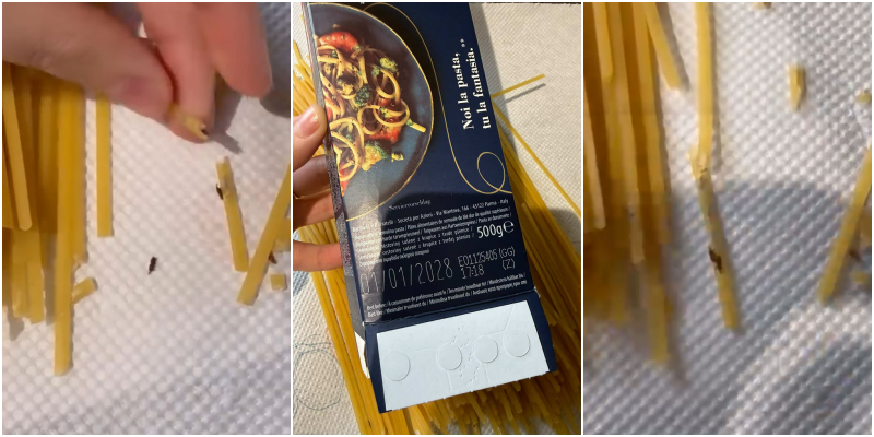 Skadojnë në 2028, makaronat “Barilla” plot me larva dhe insekte