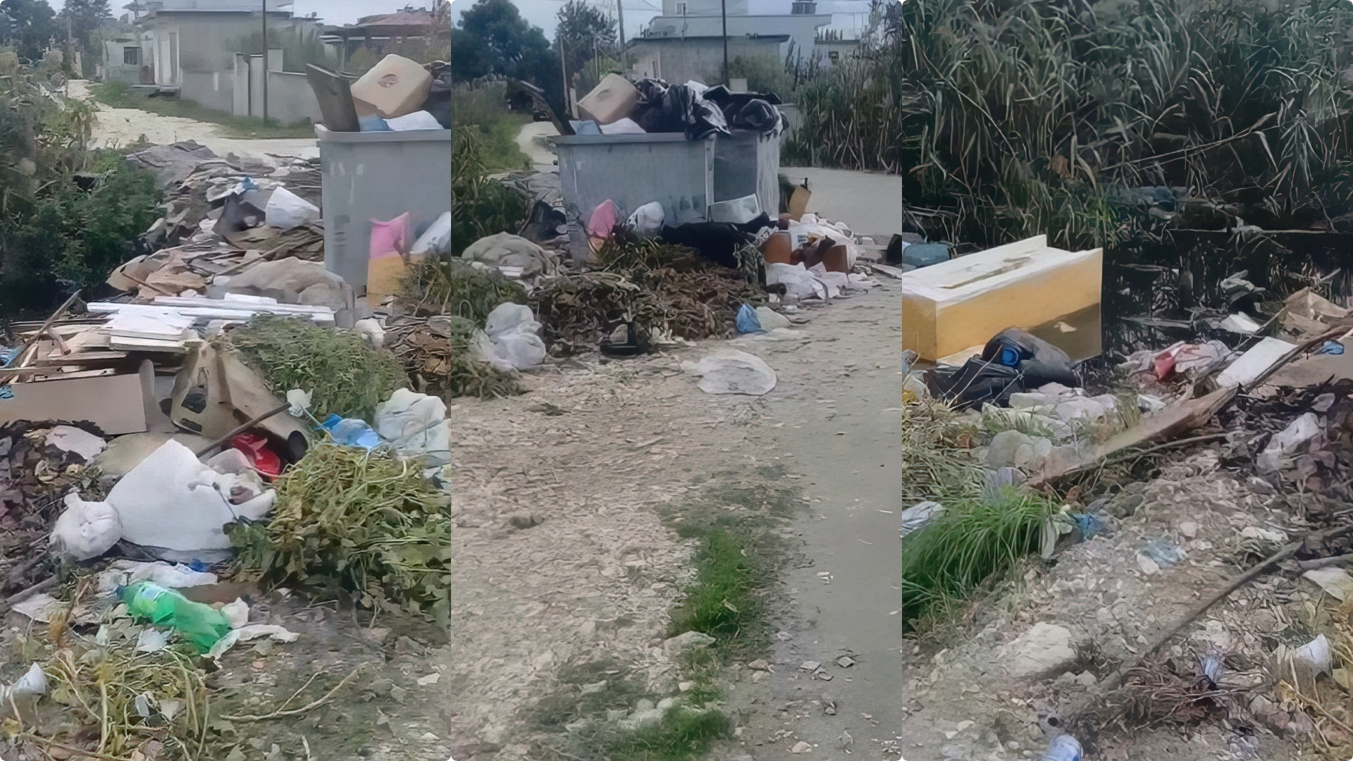 Brunilda Mersini zë karrigen  por s pastron plehrat  Vlora mbytet nga plehrat