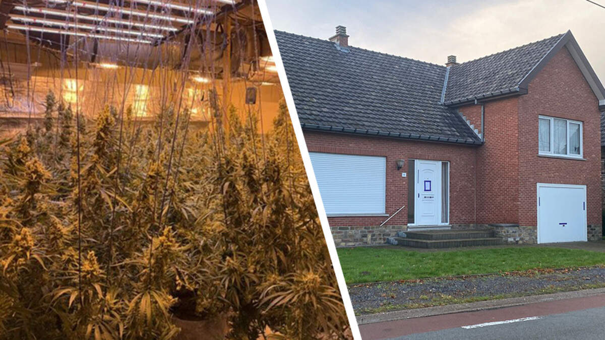 Shqiptarja në Belgjikë kthen banesën në ‘shtëpi bari’