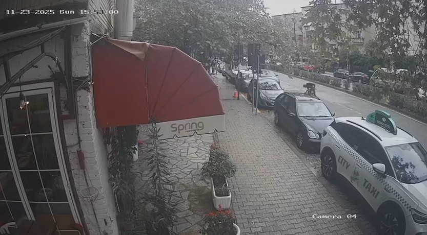 qytetarit-i-bie-portofoli-ciklisti-e-merr-si-te-ishte-i-tij