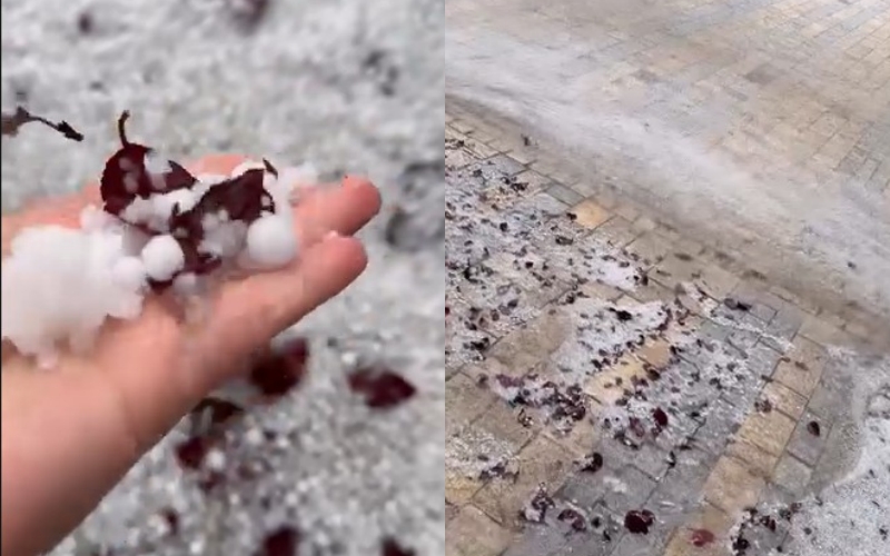 Stuhi e fuqishme në Gramsh, breshri sa një kokërr arre shkatërron bujqësinë