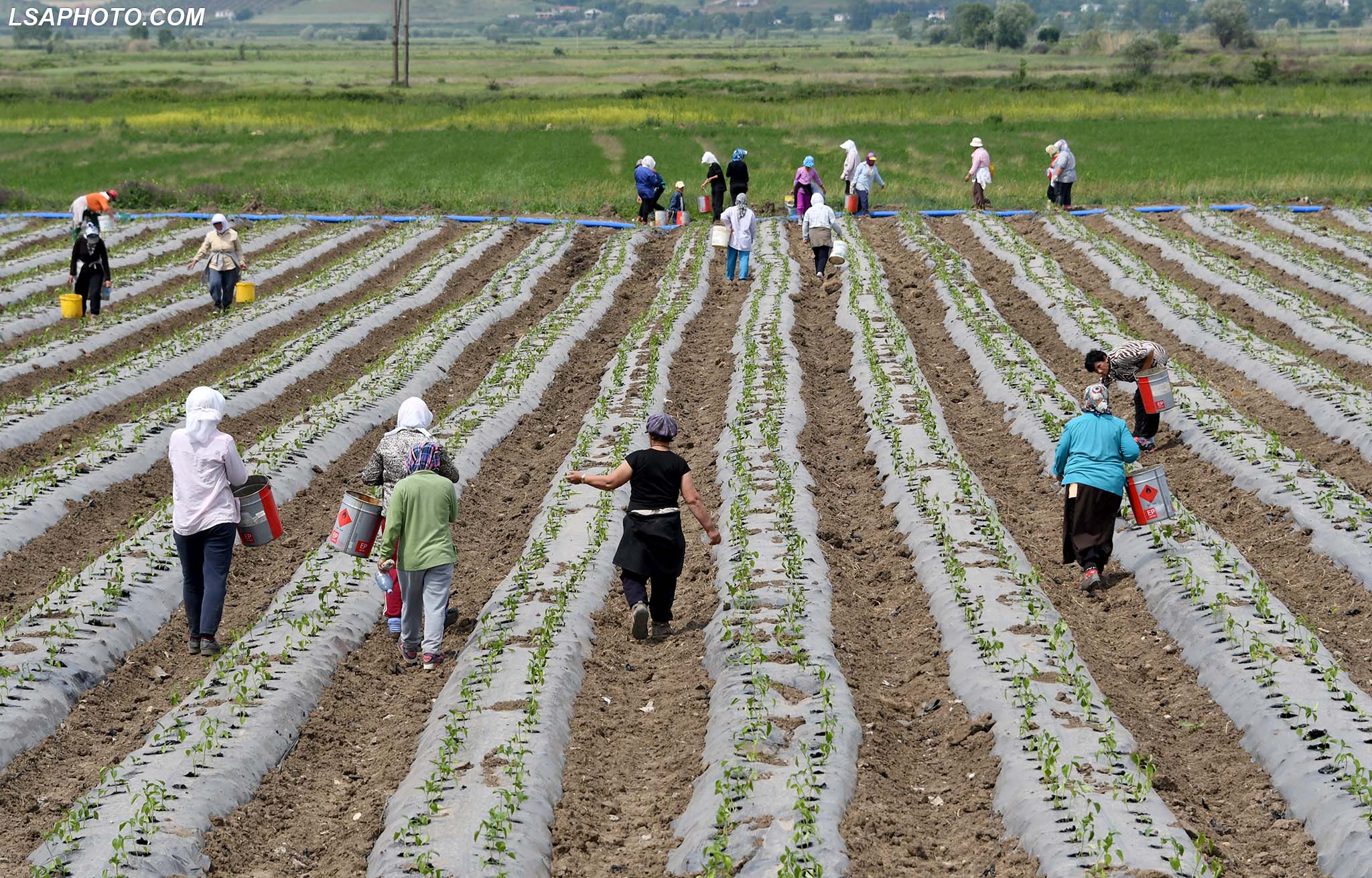 KE ngre alarmin për mungesë transparence dhe keqmenaxhim  Shqipëria jo gati për fondet IPARD III