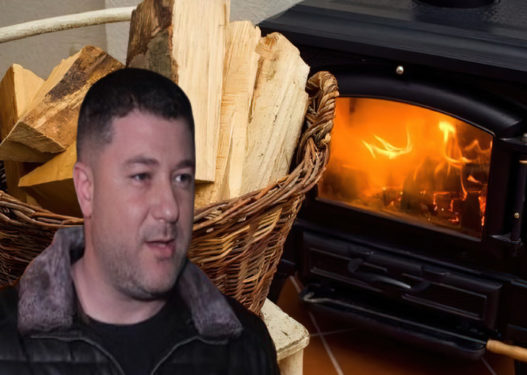 “Aromë” vjedhje në Vorë: Tenderi për “dru zjarri” fitohet nga oferta më e lartë