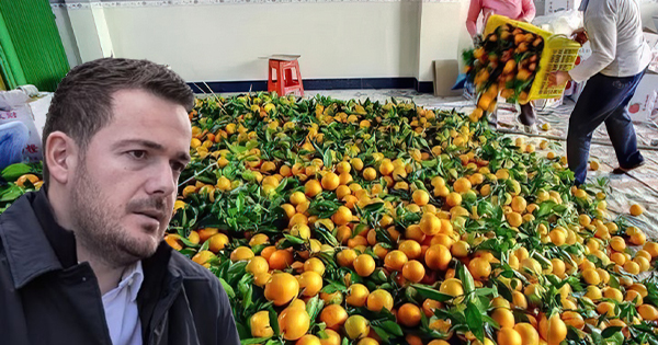 Mandarina me helm në tregjet e Tiranës  AKU hesht  analizat zbulojnë përbërës kancerogjen