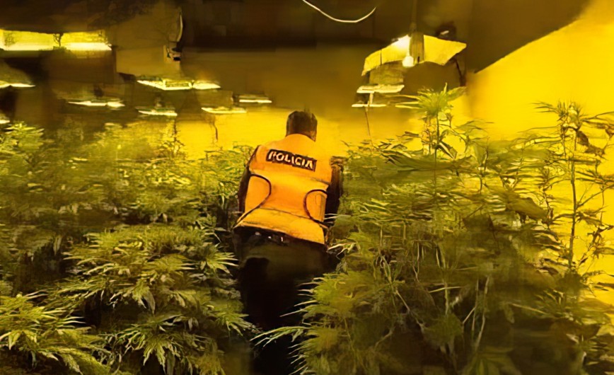 ‘Shtëpi bari’ në Malësi të Madhe, arrestohen dy persona, procedohen disa punonjës të OSHEE